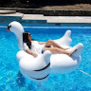 Meet your Posher, Andi